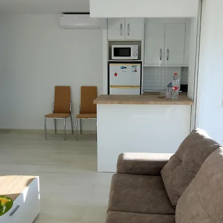 Pintor Solana דירה בנידורם